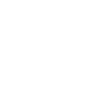65e5d1c2201251d2919f7926_Logo-ISS