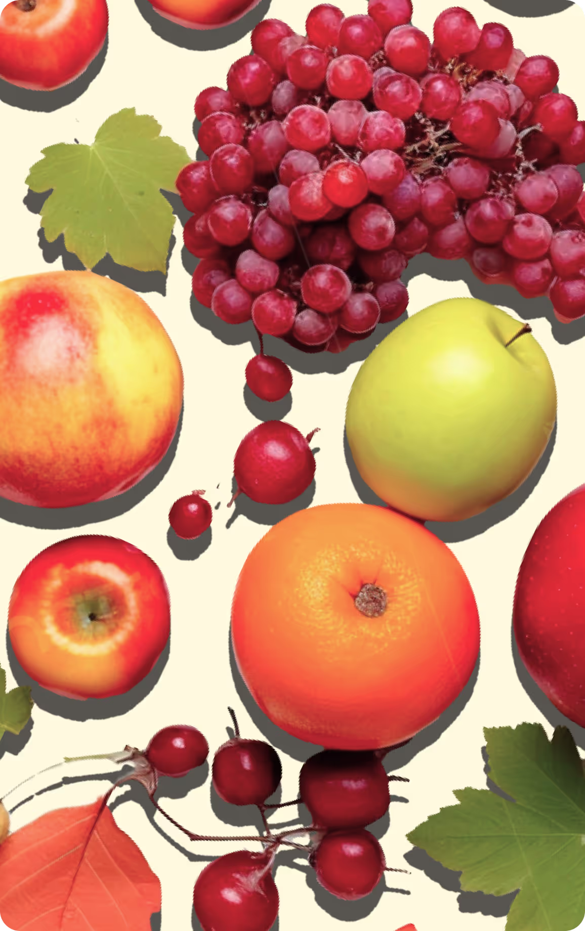 65f81fb69a9665a9dca28d71_moment02b